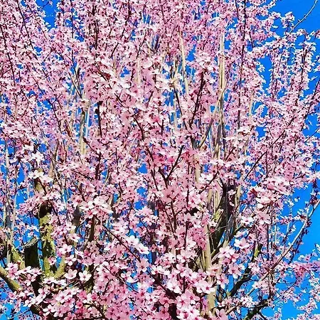 Osteria I'casolare Penzion 3*